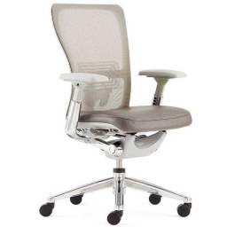 Modern Mesh Ergonomic Office Chair — mesh